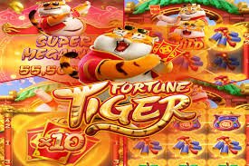 pkpk333 Live Casino Provider Evolution Pragmatic Play SA Gaming